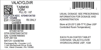 Label (31722 705 90 Valacyclovir 1gm 67046 1347 30)